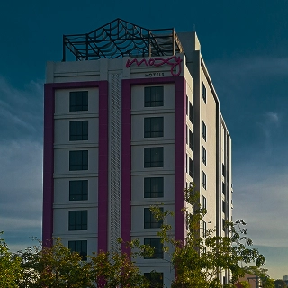 bg